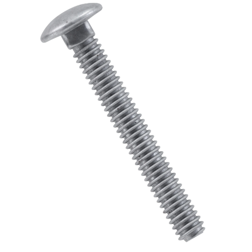 Carriage Bolts